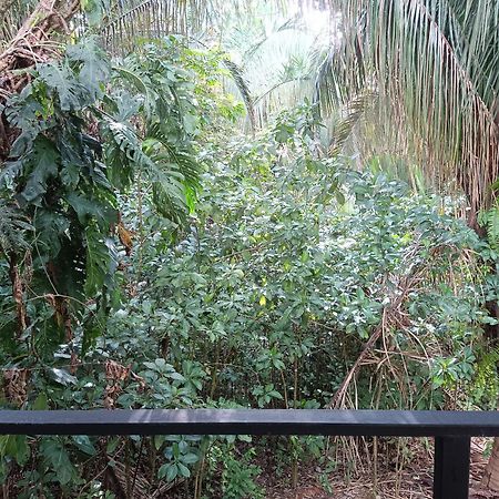 Selva Linda Lodge Vacation Rentals كيبوس المظهر الخارجي الصورة