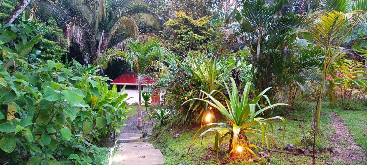 Selva Linda Lodge Vacation Rentals كيبوس المظهر الخارجي الصورة