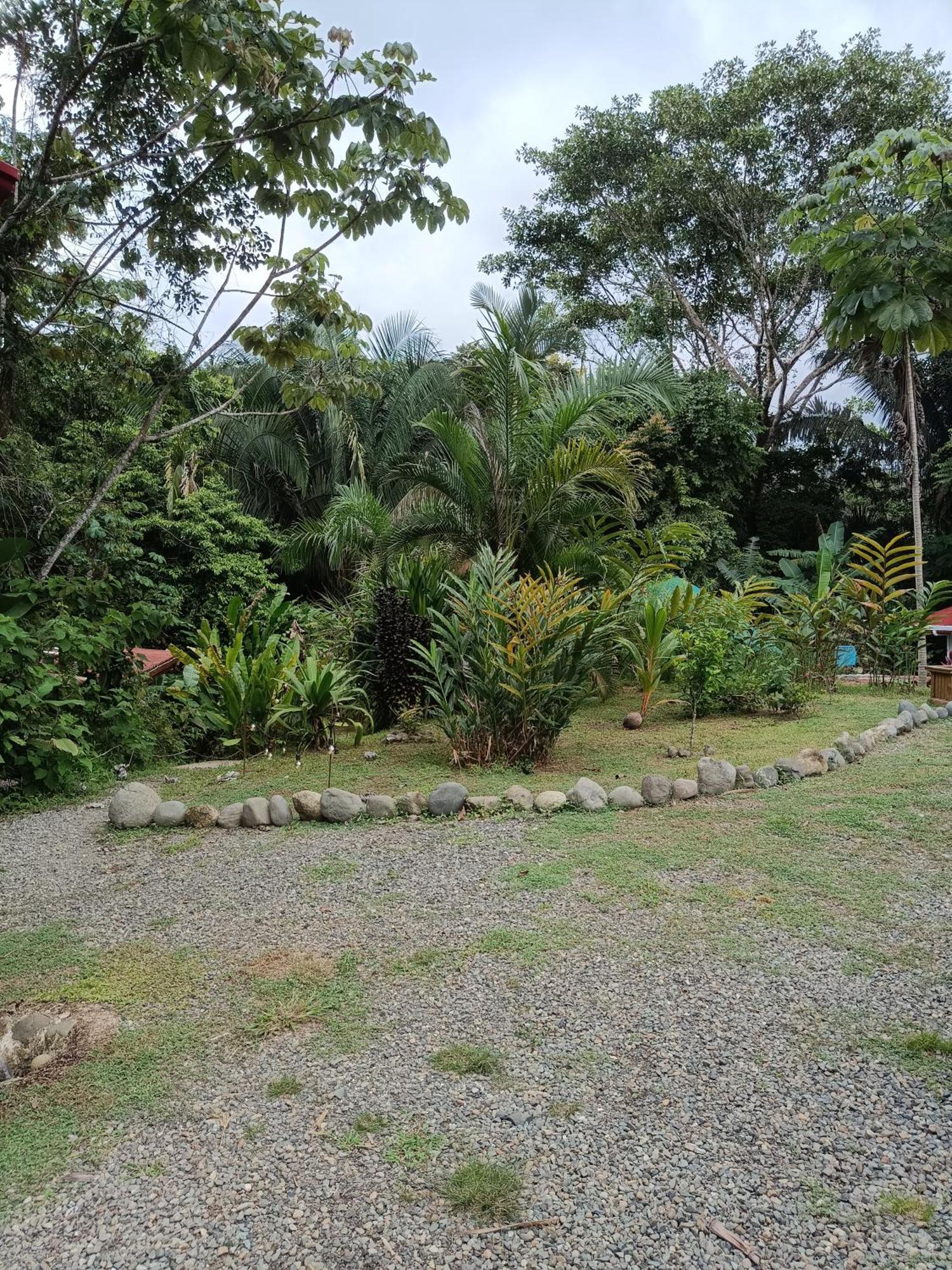 Selva Linda Lodge Vacation Rentals كيبوس المظهر الخارجي الصورة