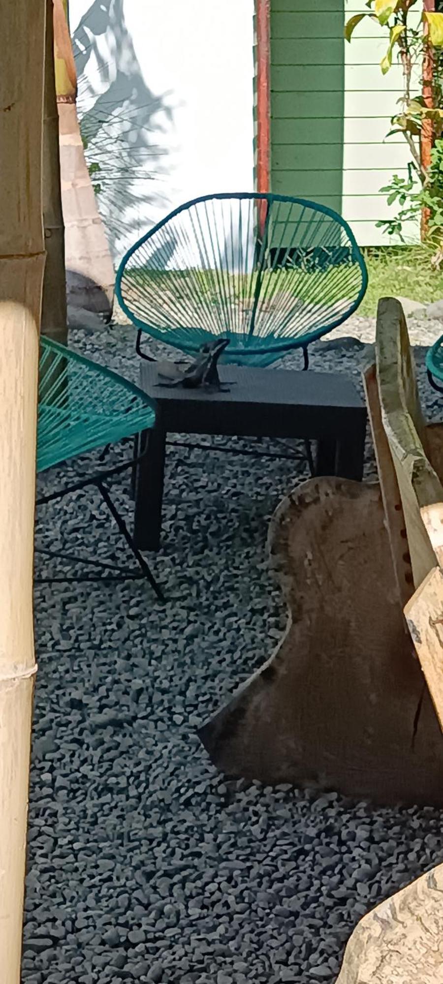 Selva Linda Lodge Vacation Rentals كيبوس المظهر الخارجي الصورة