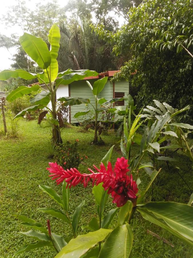 Selva Linda Lodge Vacation Rentals كيبوس المظهر الخارجي الصورة